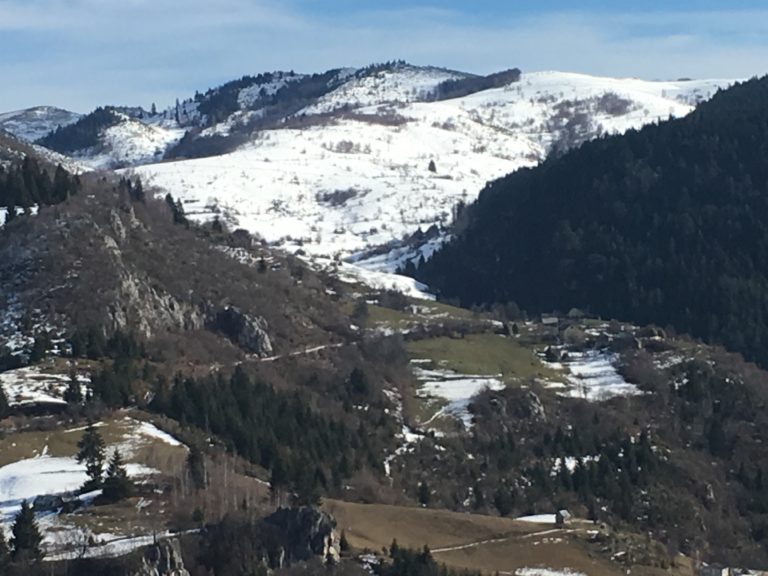 FOTO PRIČA: RAZGLEDNICA IZ SAVIN BORA