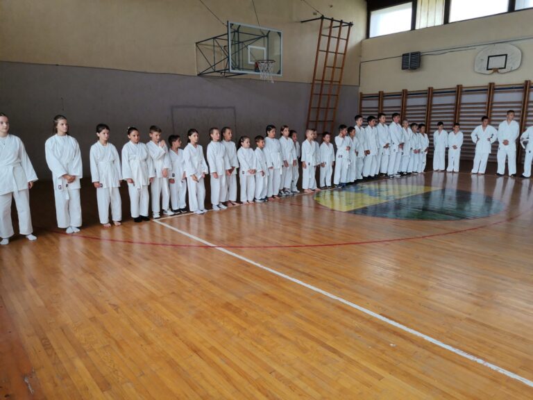 U Rožajama organizovano polaganje za žuti pojas članova Karate kluba iz Petnjice  